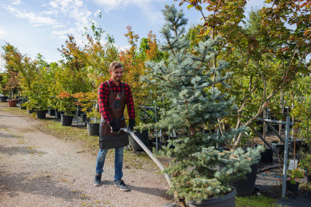 Best Weed Control  in Red Hill, SC